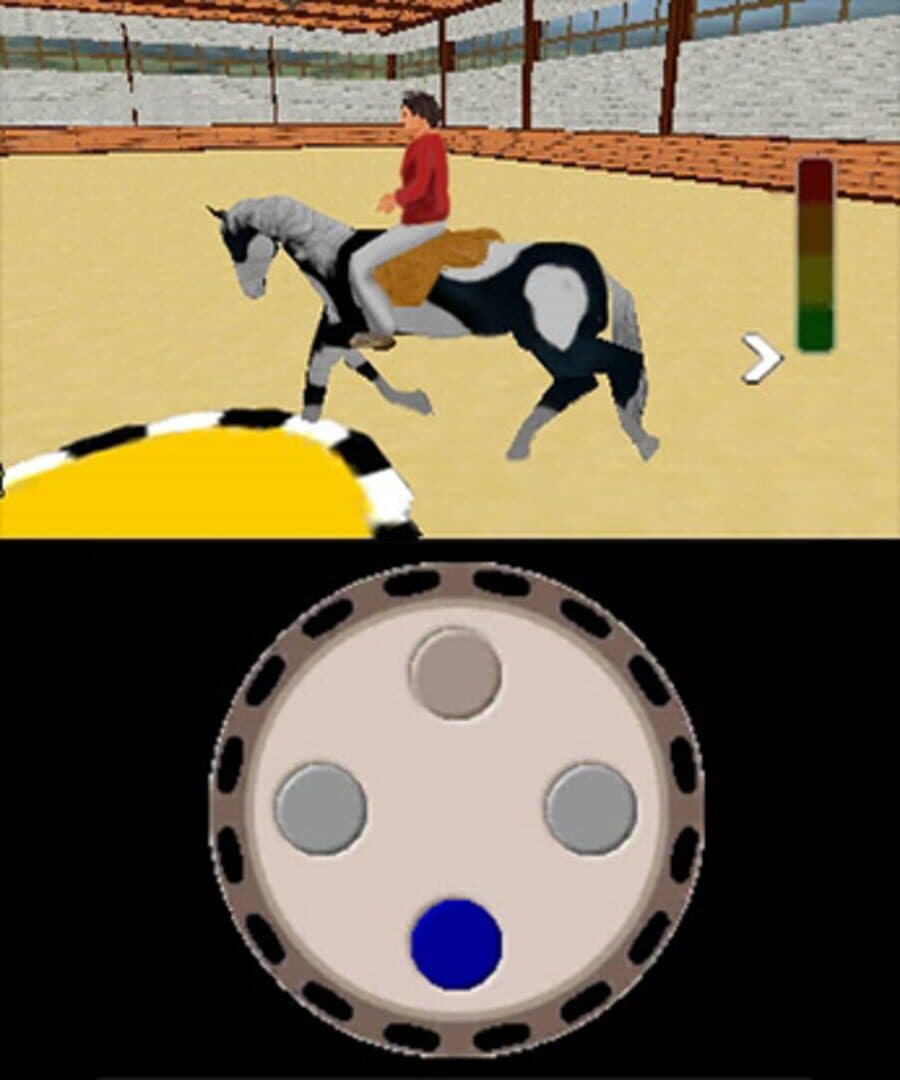 Riding Star 3D: Champion in Sattle screenshot 1