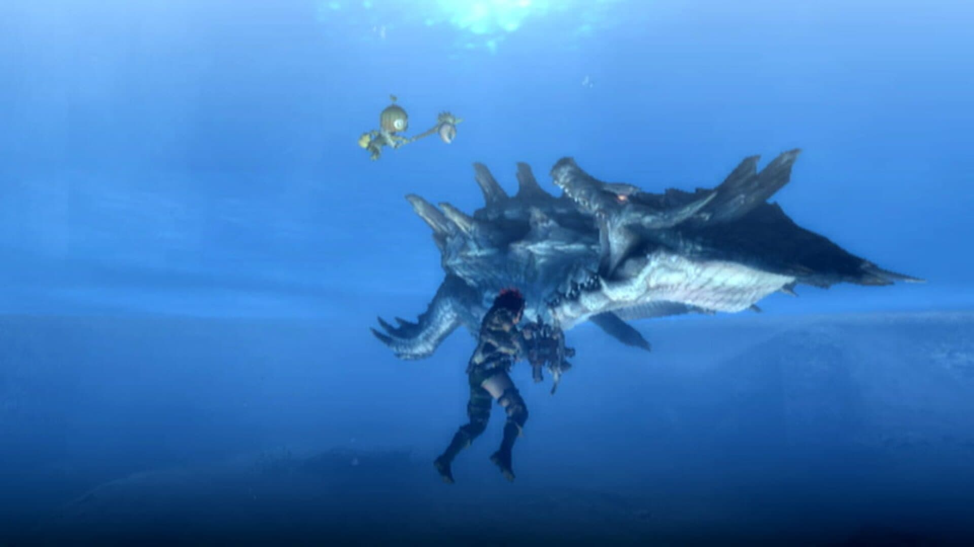 Monster Hunter Tri screenshot 9