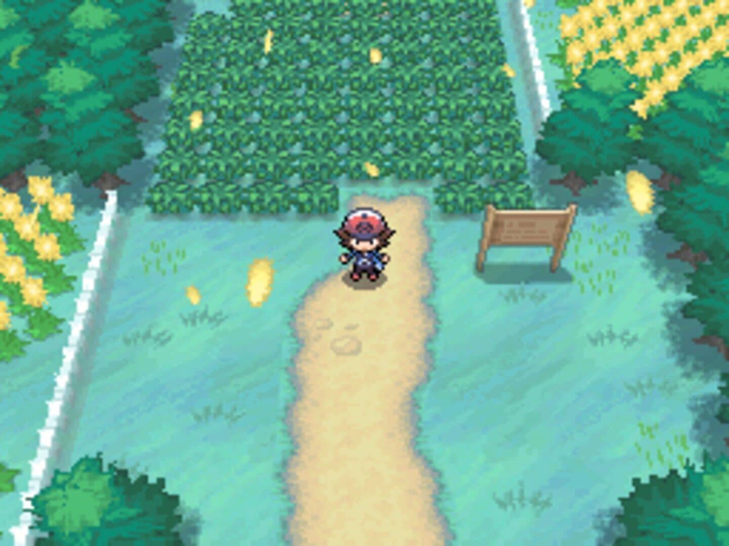 Pokémon Black Version screenshot 6