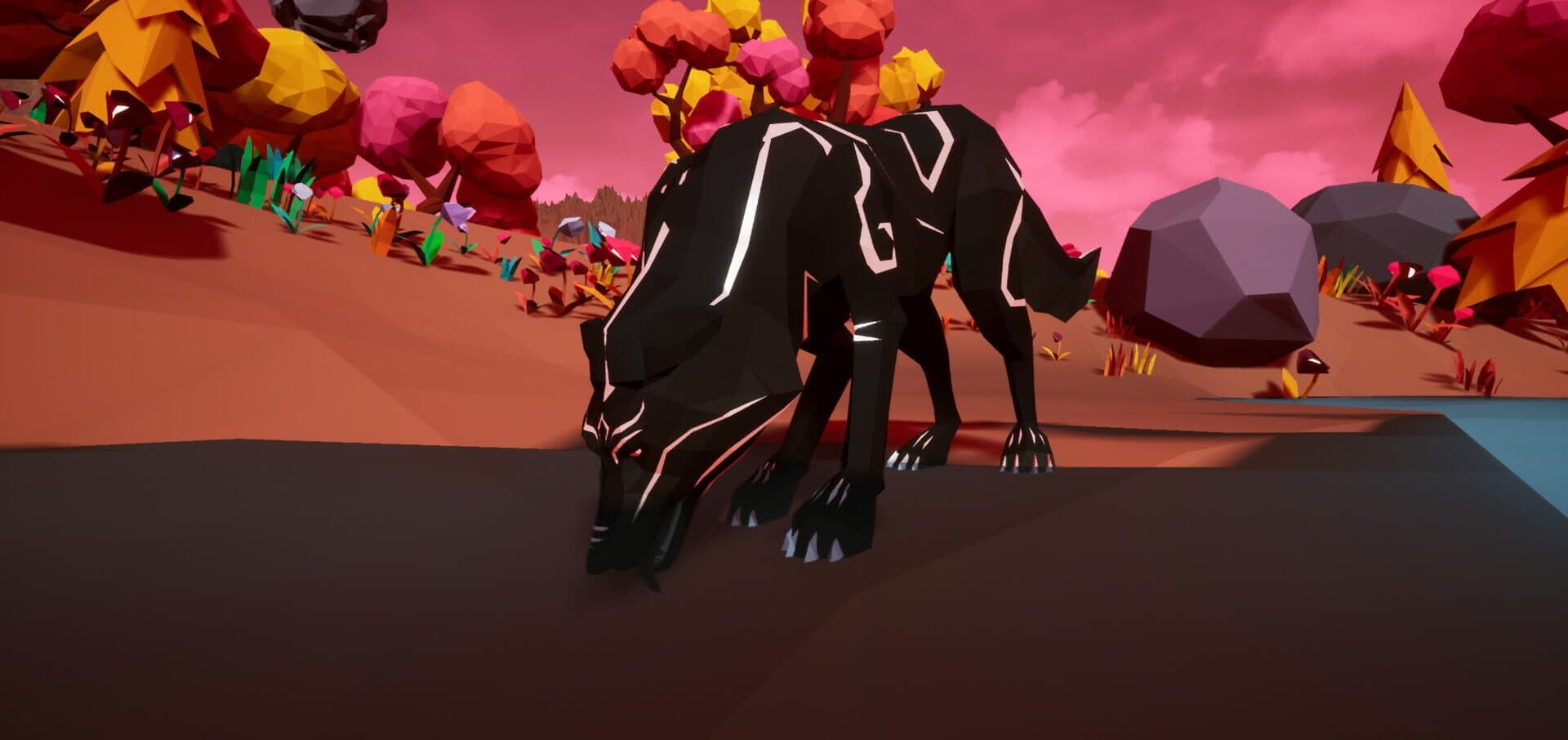 Paws and Soul screenshot 9