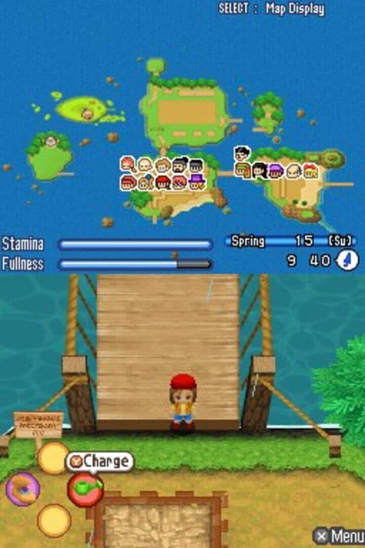 Harvest Moon DS: Sunshine Islands screenshot 6