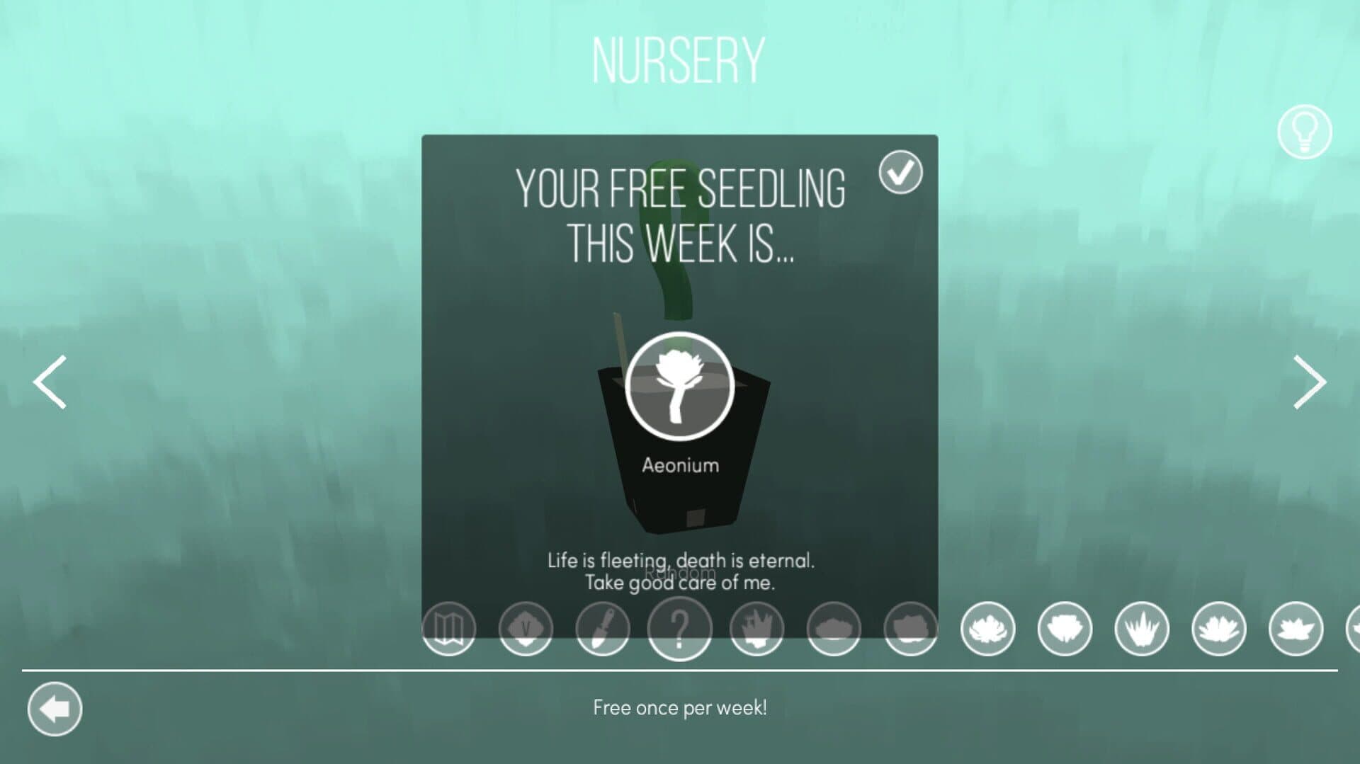 Viridi screenshot 5