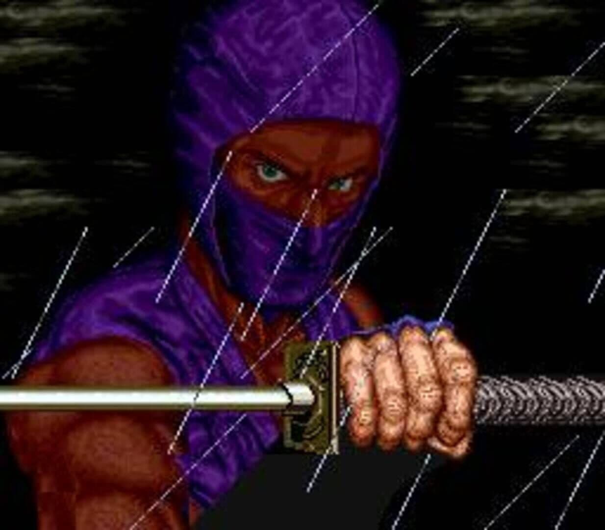 Ninja Gaiden screenshot 8