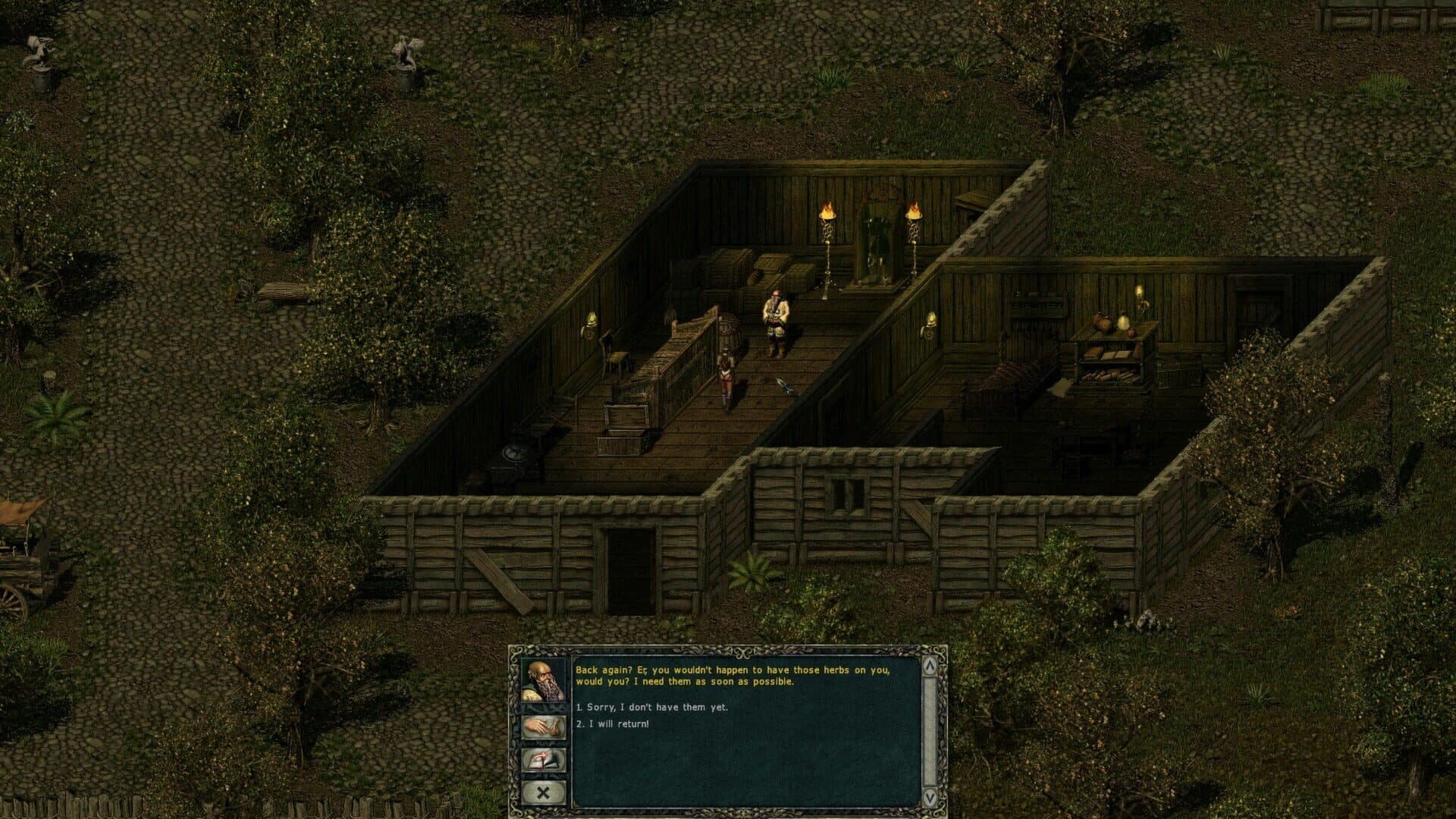 Divine Divinity screenshot 2