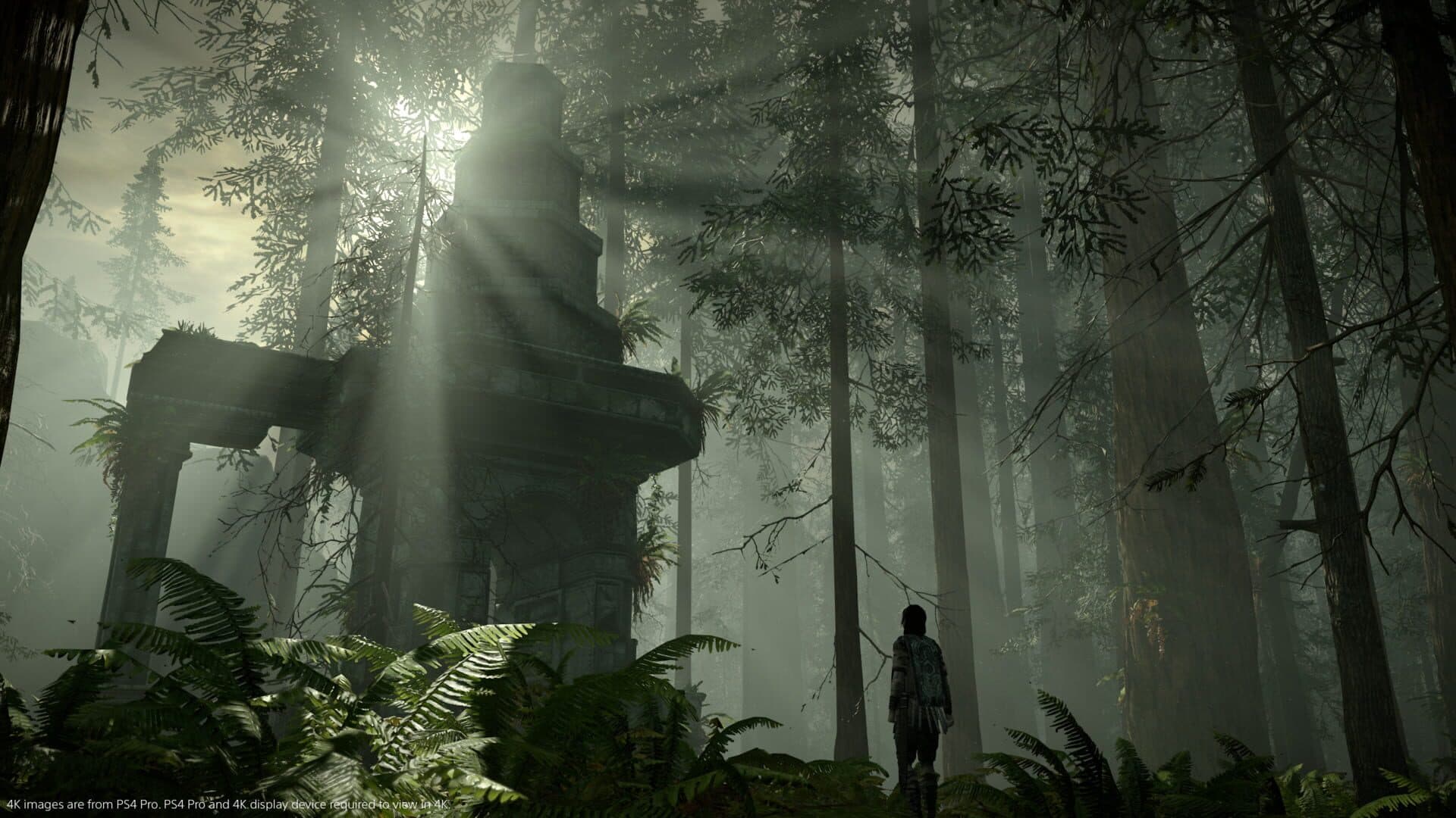 Shadow of the Colossus screenshot 8