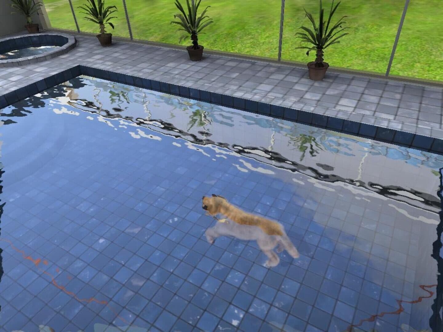 Paws & Claws: Pampered Pets screenshot 1