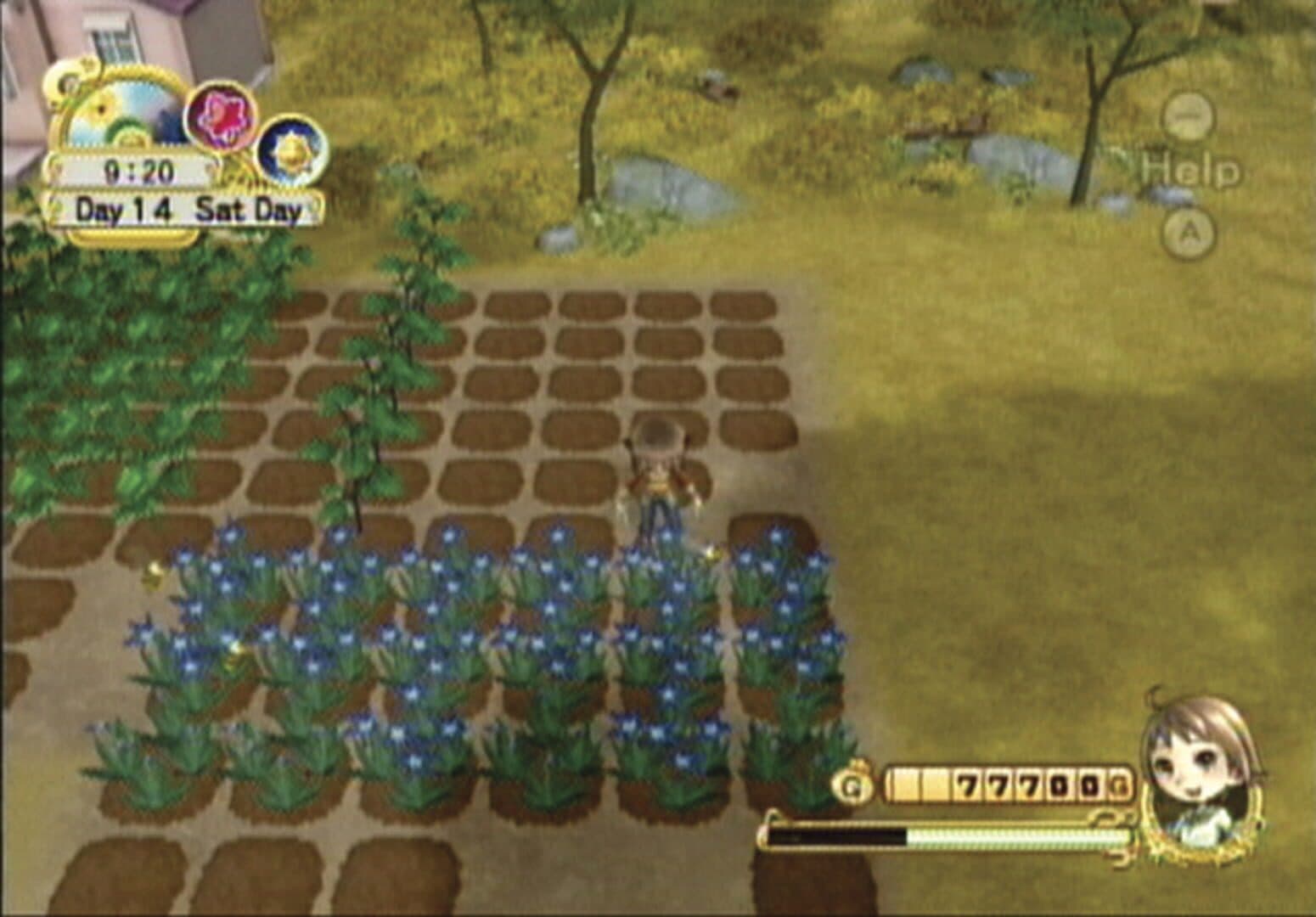 Harvest Moon: Tree of Tranquility screenshot 11
