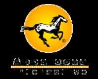 Appaloosa Interactive