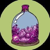 Purple Moss Collectors