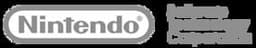 Nintendo Software Technology