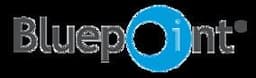 Bluepoint Games